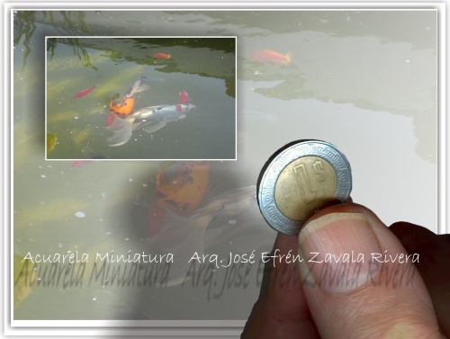 Peces, fantástica acuarela miniatura en el preciso momento en que los peces hacen su rutina en el agua clara.  Pinturita de solo 2cms. de alto por 3.5cms. de ancho. - 20 Jan 2009